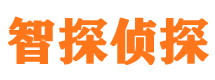 金山婚外情调查取证